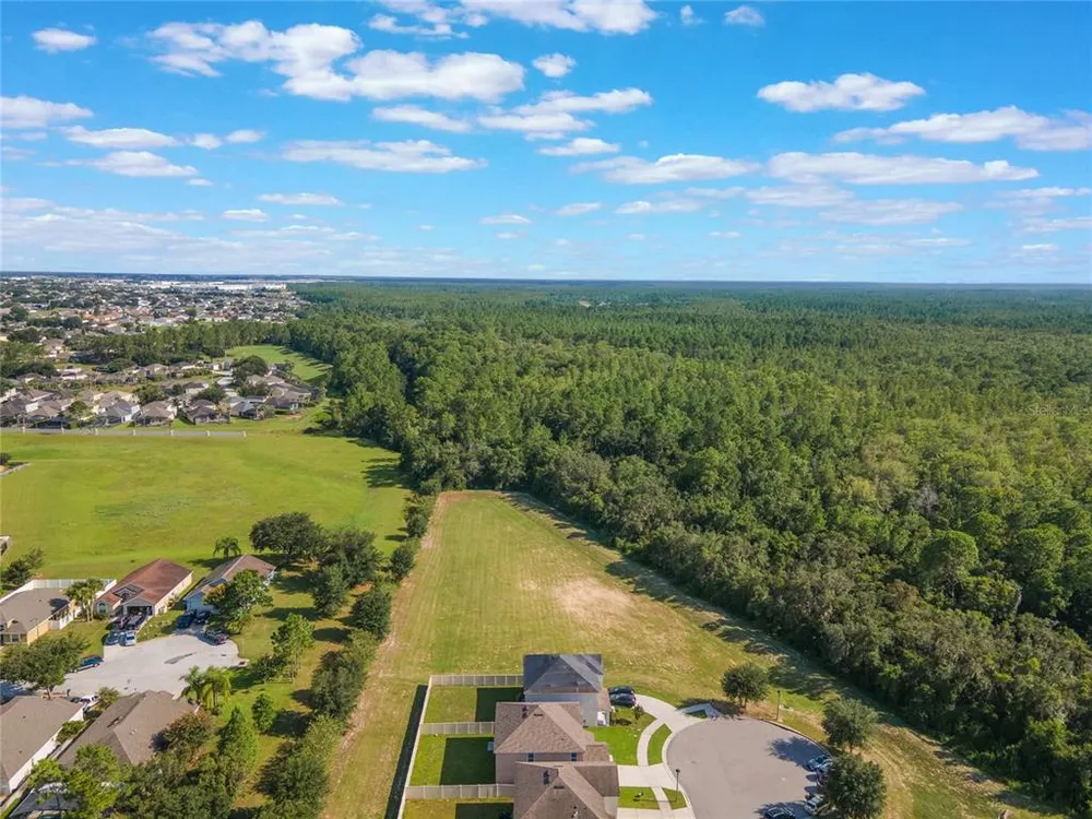 210 Lazy Willow Dr, Davenport, FL 33897