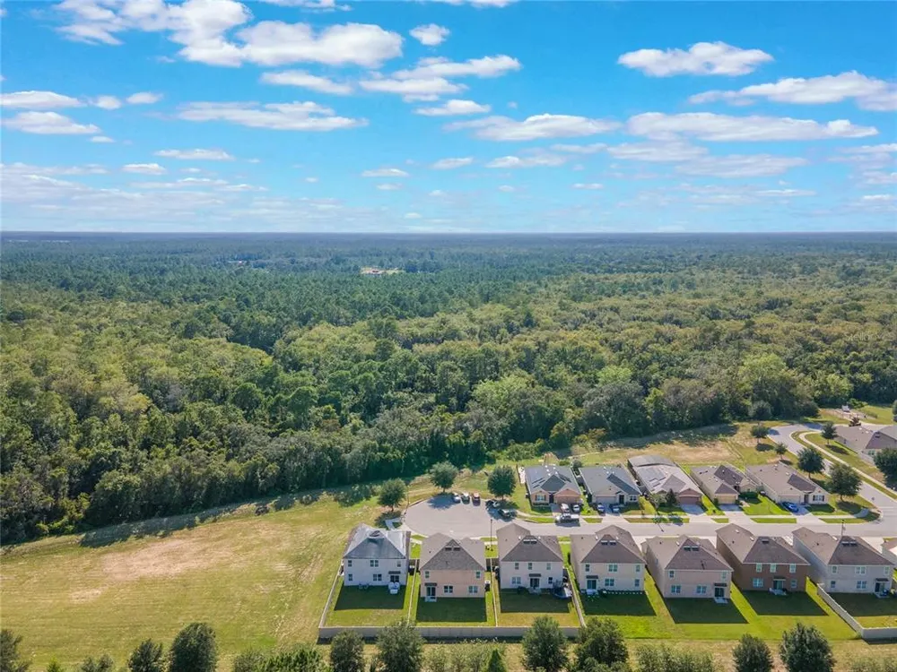 210 Lazy Willow Dr, Davenport, FL 33897