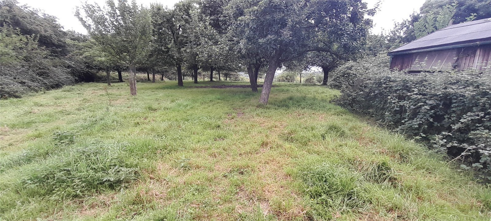 Glastonbury, Somerset, BA6