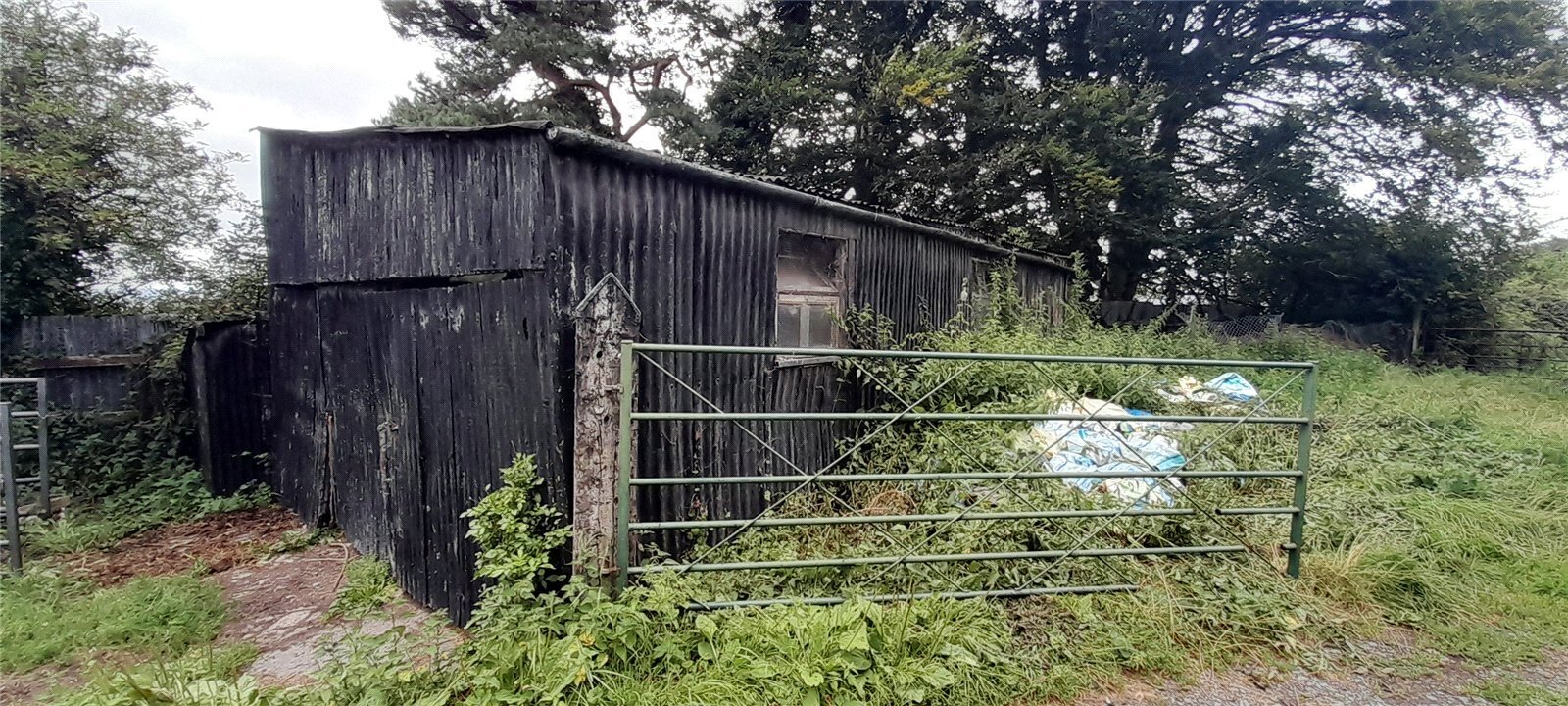 Glastonbury, Somerset, BA6