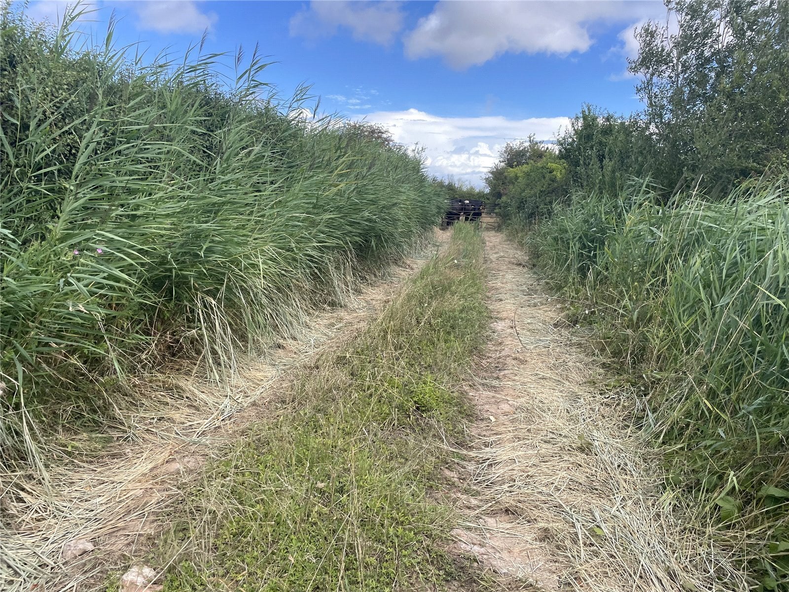 Wembdon, Bridgwater, Somerset, TA5