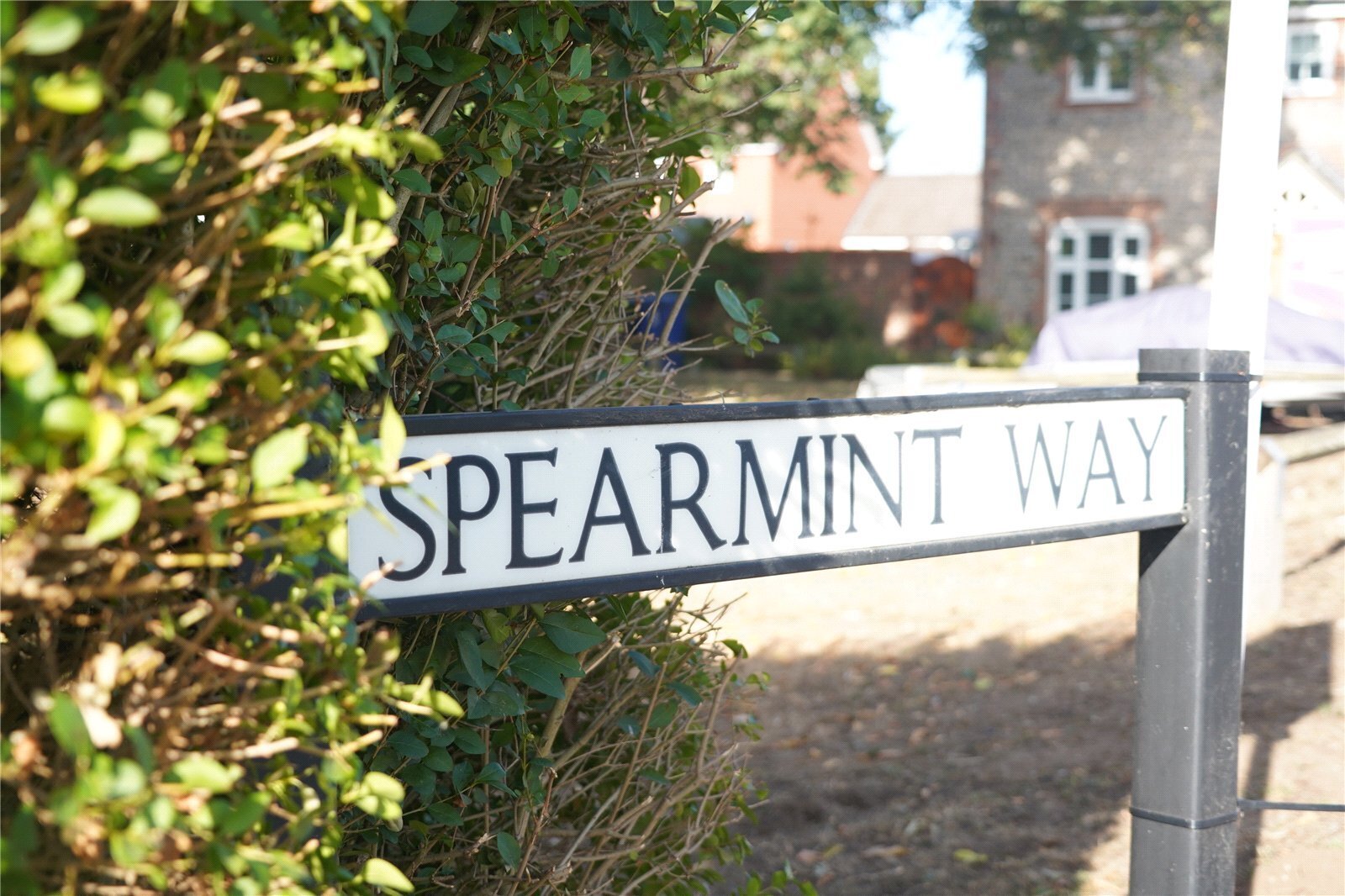Spearmint Way, Red Lodge, Bury St. Edmunds, Suffolk, IP28 Image 15