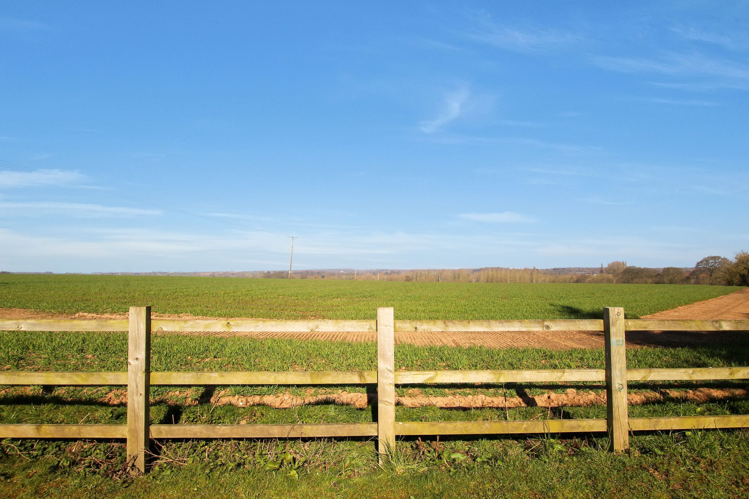 Stretton en le Field Image 21