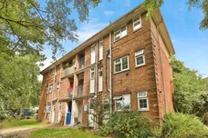 Leopard Court, Norwich