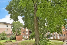 Leopard Court, Norwich