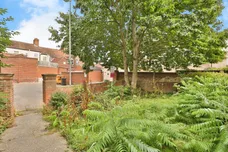 Leopard Court, Norwich