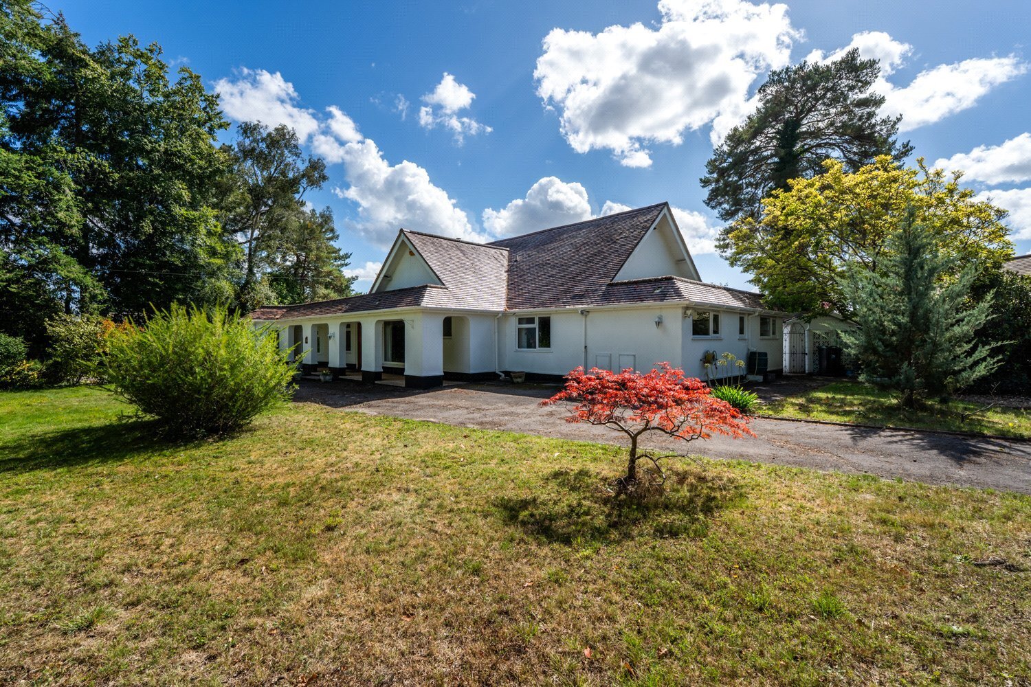 Moorlands Road, West Moors, Ferndown, Dorset, BH22 Image 41