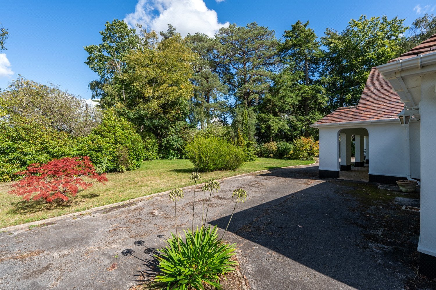 Moorlands Road, West Moors, Ferndown, Dorset, BH22 Image 44