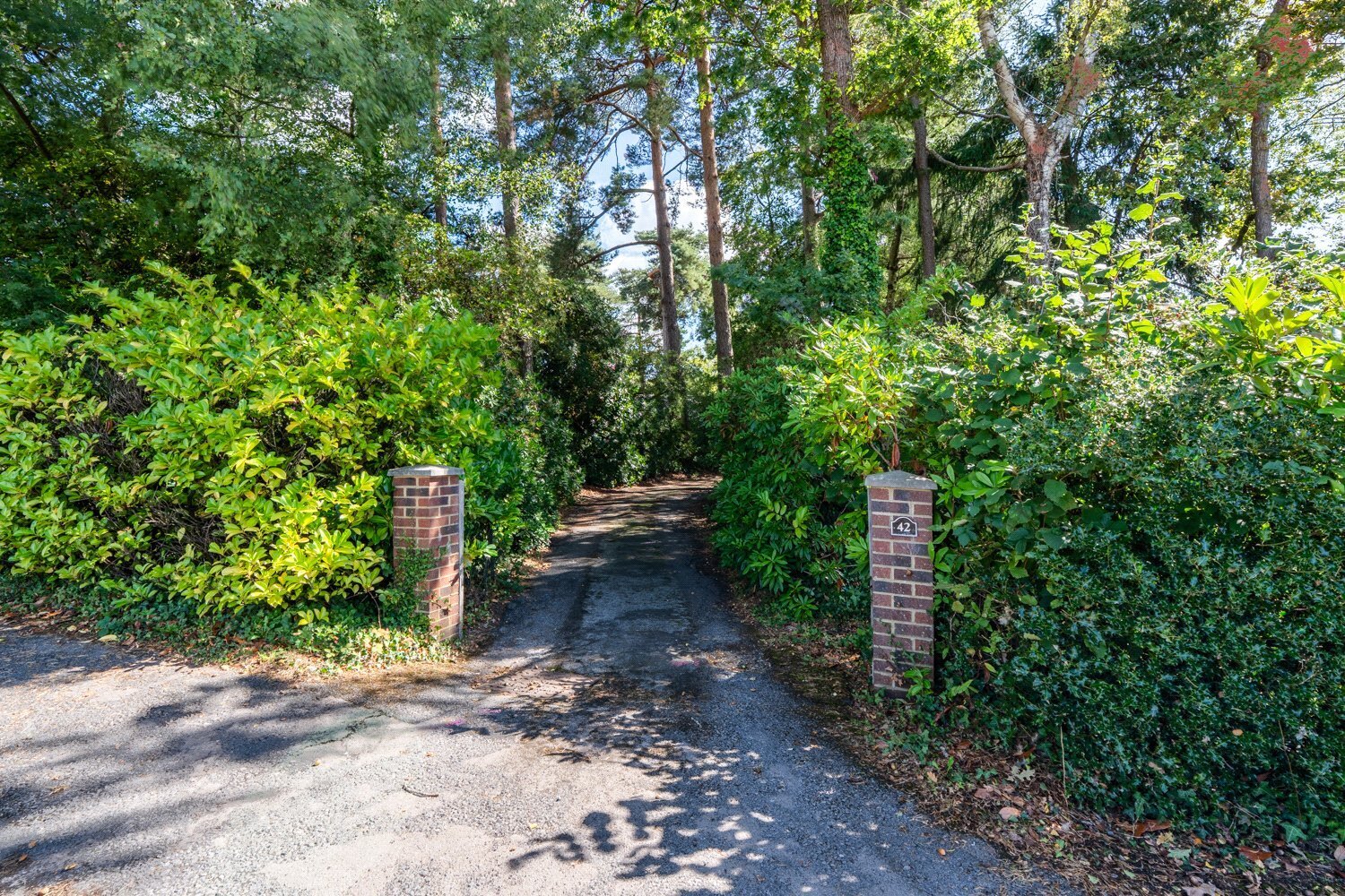 Moorlands Road, West Moors, Ferndown, Dorset, BH22 Image 46