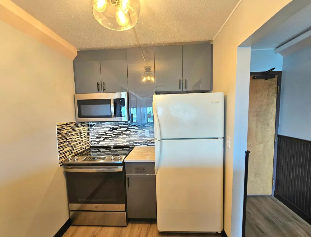 1920 S 1st St, Minneapolis, MN 55454