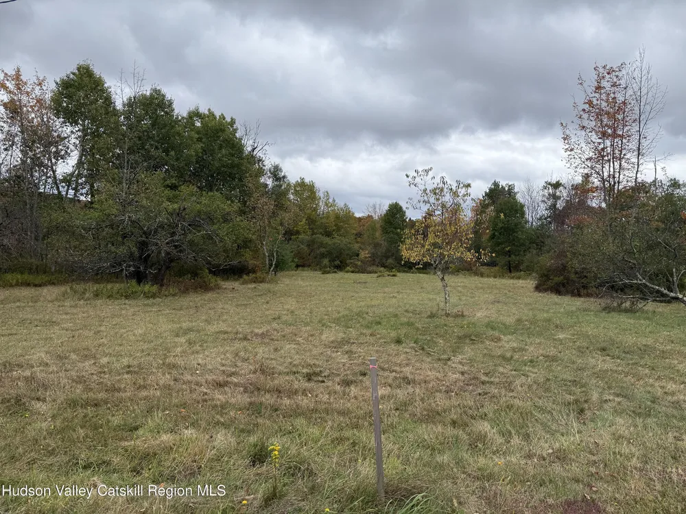 611 Mitchell Hollow Rd, Windham, NY 12496