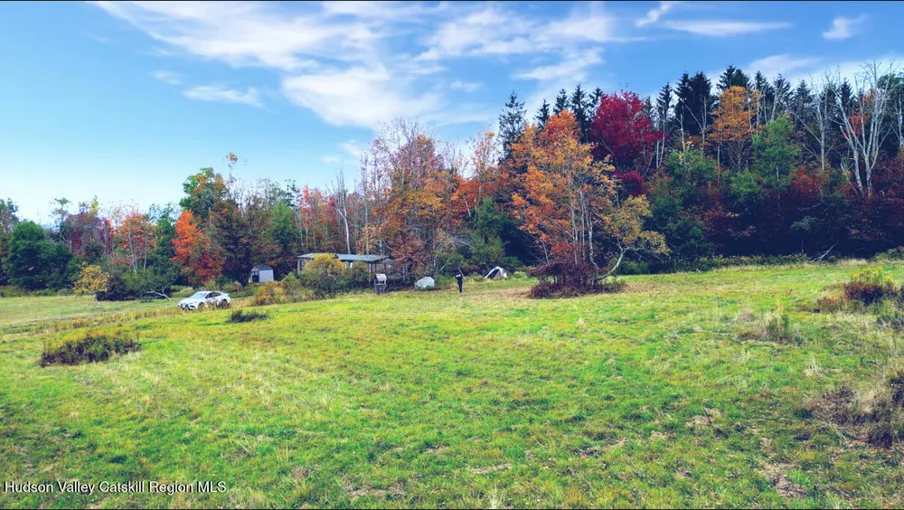 611 Mitchell Hollow Rd, Windham, NY 12496