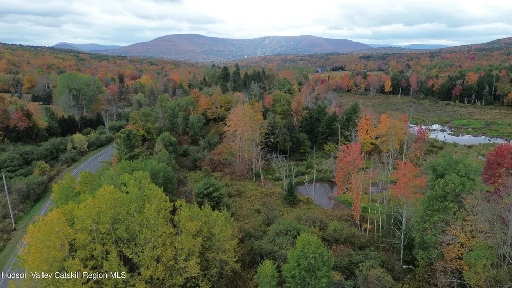 611 Mitchell Hollow Rd, Windham, NY 12496