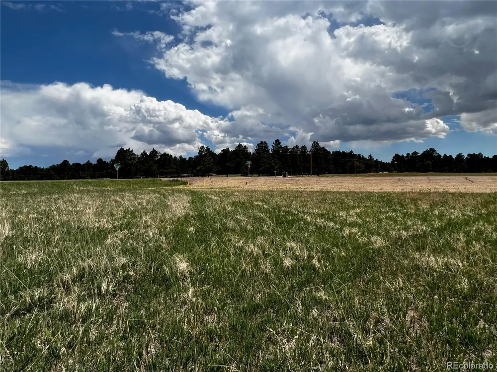 11970 Woodridge Terrace, Colorado Springs, CO 80908