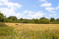 Sproutes Lane, Coolham, RH13 photo 32