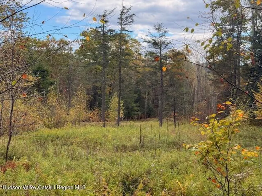 N Ridge Extension, Windham, NY 12496