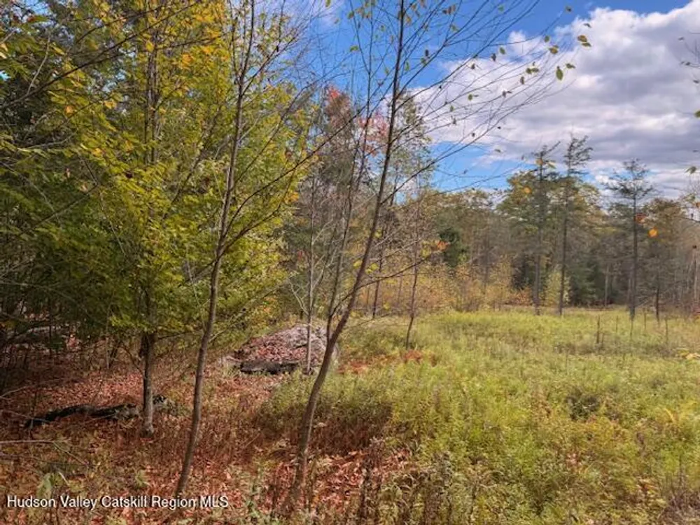 N Ridge Extension, Windham, NY 12496