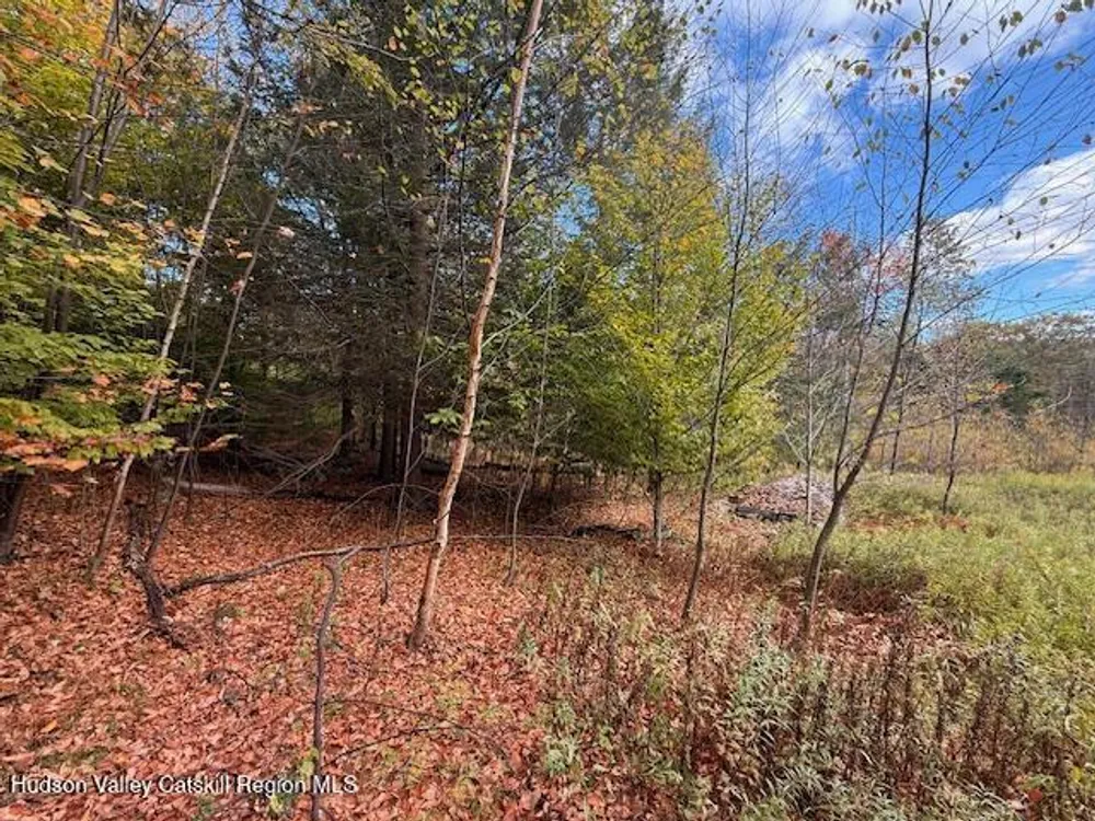 N Ridge Extension, Windham, NY 12496