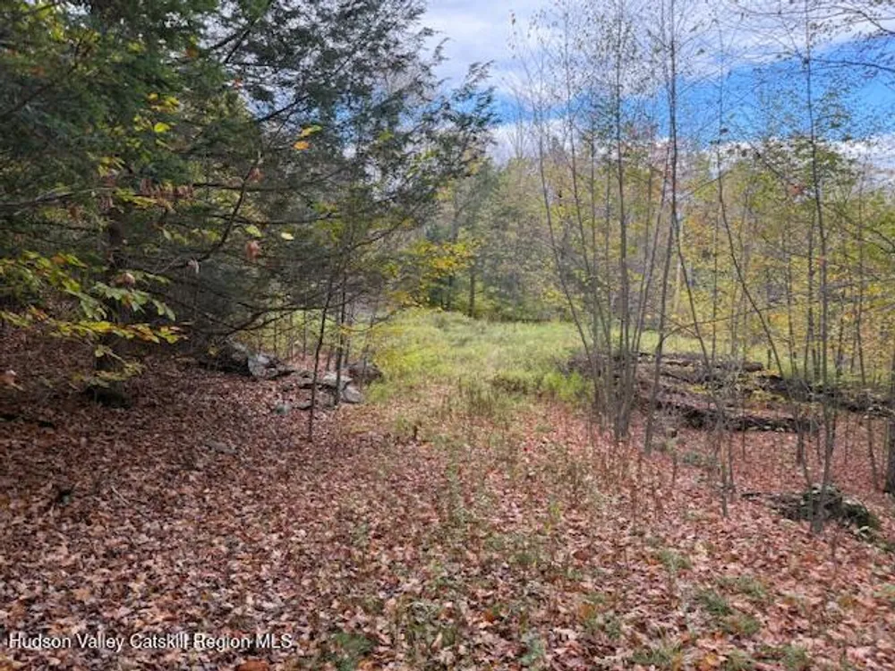 N Ridge Extension, Windham, NY 12496