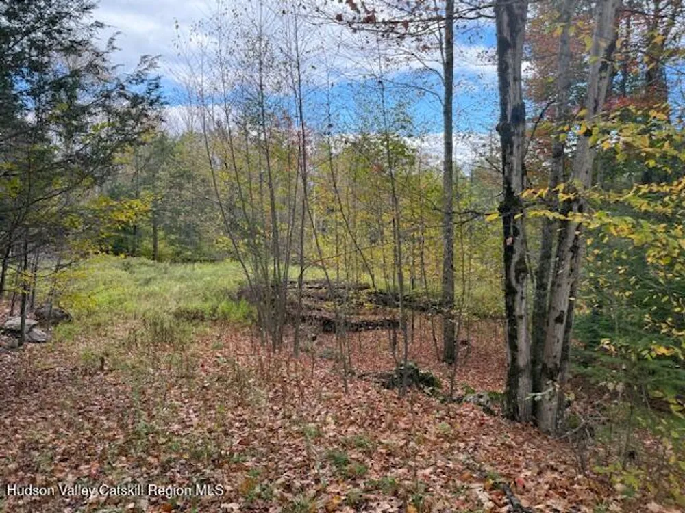 N Ridge Extension, Windham, NY 12496