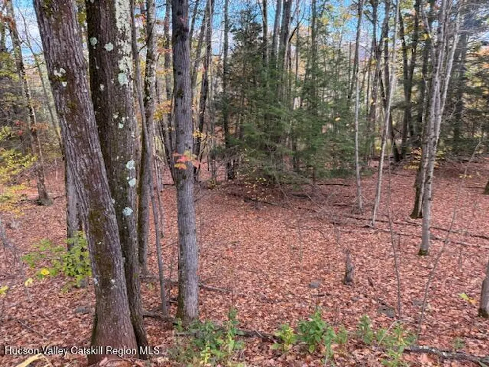 N Ridge Extension, Windham, NY 12496