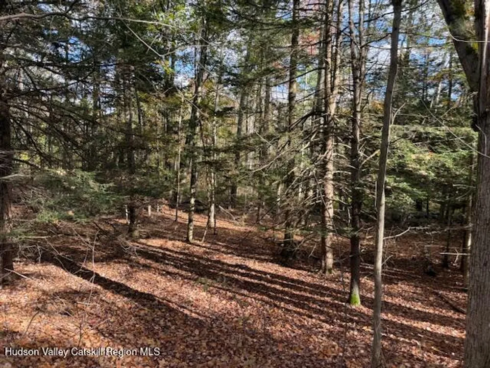N Ridge Extension, Windham, NY 12496