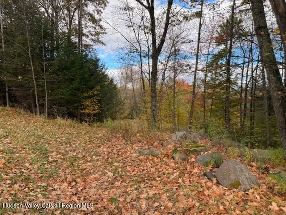 N Ridge Extension, Windham, NY 12496