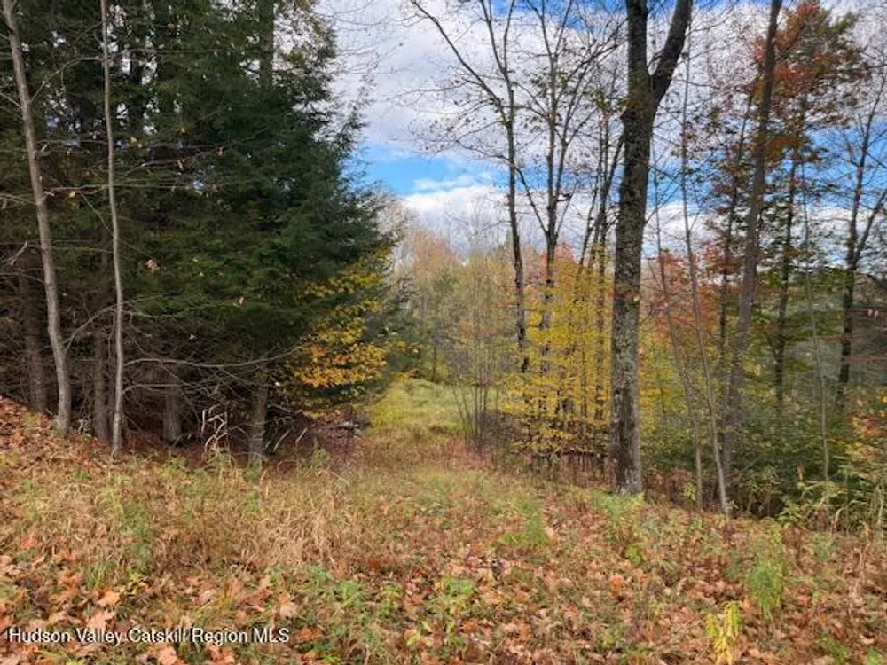 N Ridge Extension, Windham, NY 12496