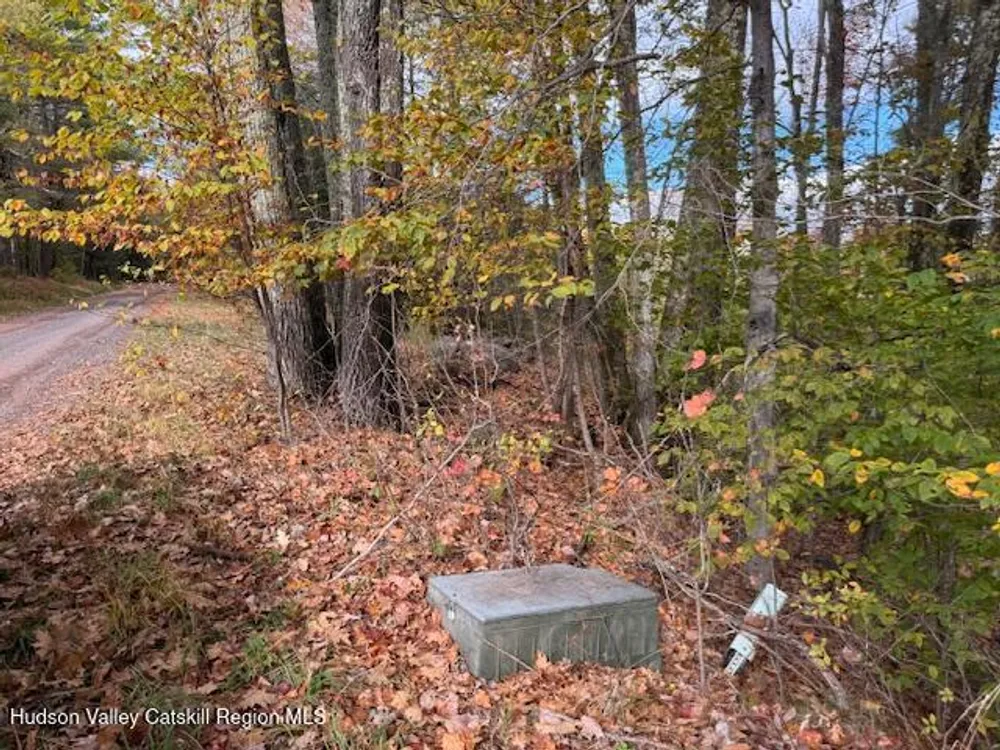 N Ridge Extension, Windham, NY 12496