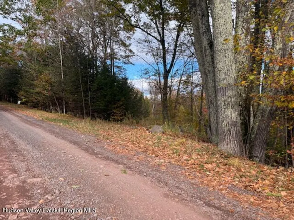 N Ridge Extension, Windham, NY 12496