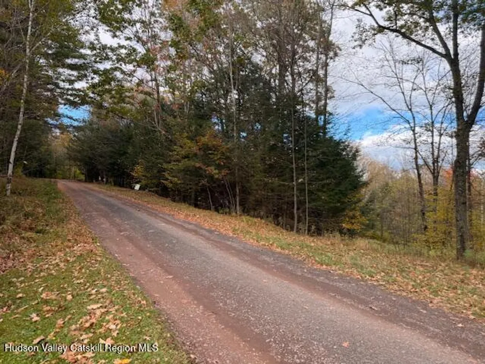 N Ridge Extension, Windham, NY 12496