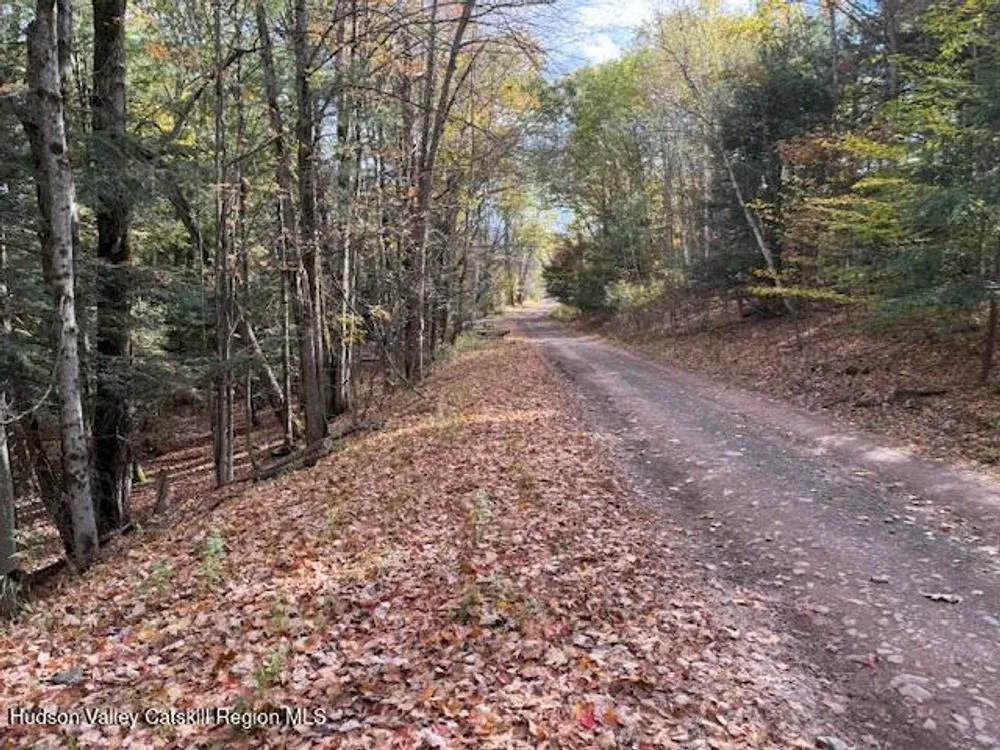 N Ridge Extension, Windham, NY 12496