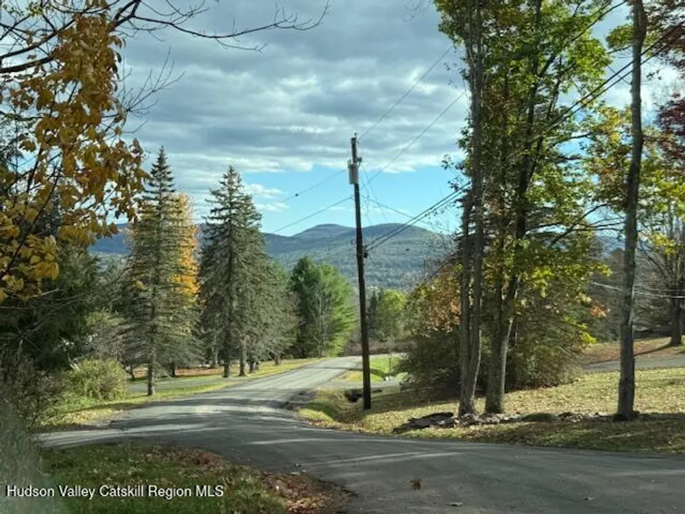 N Ridge Extension, Windham, NY 12496