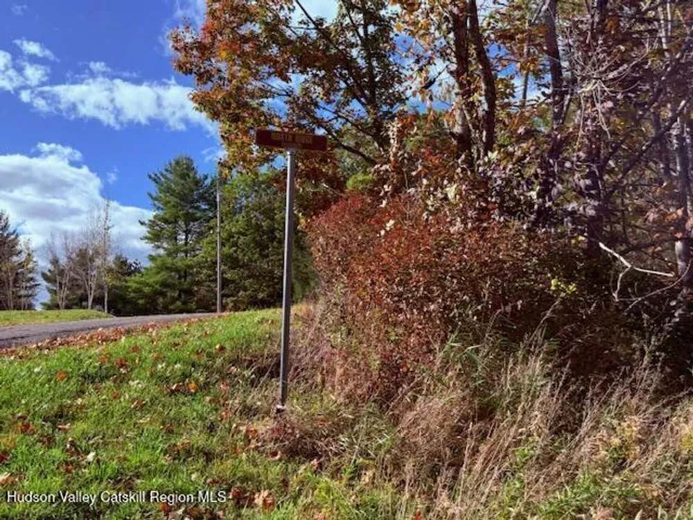 N Ridge Extension, Windham, NY 12496