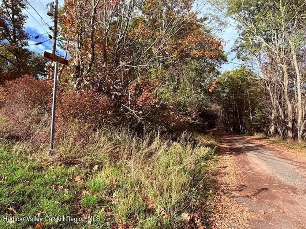N Ridge Extension, Windham, NY 12496