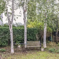Property 14