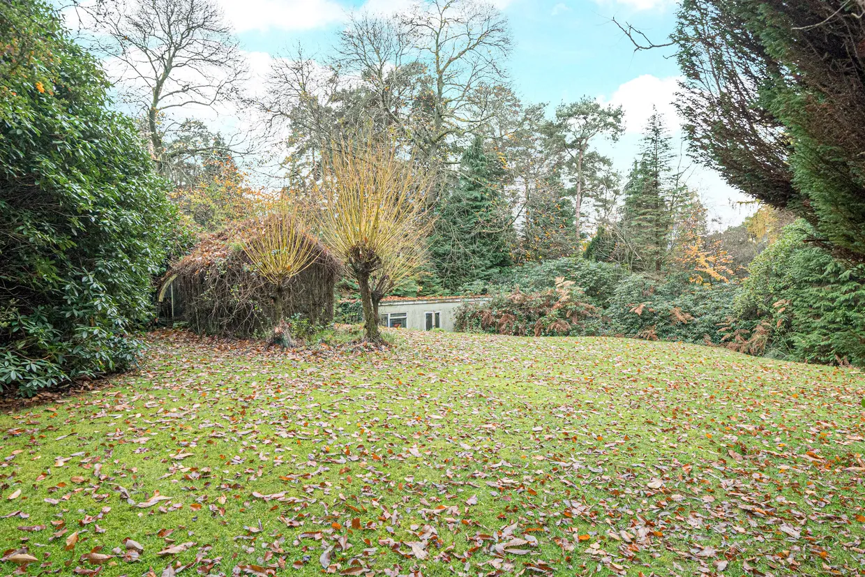 Farnham Lane, Haslemere, GU27 photo 11