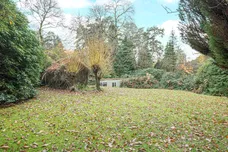 Farnham Lane, Haslemere, GU27 photo 11