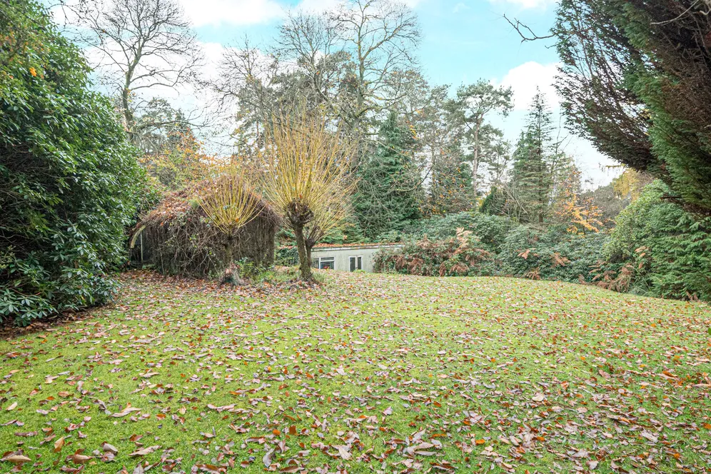 Farnham Lane, Haslemere, GU27 photo 11