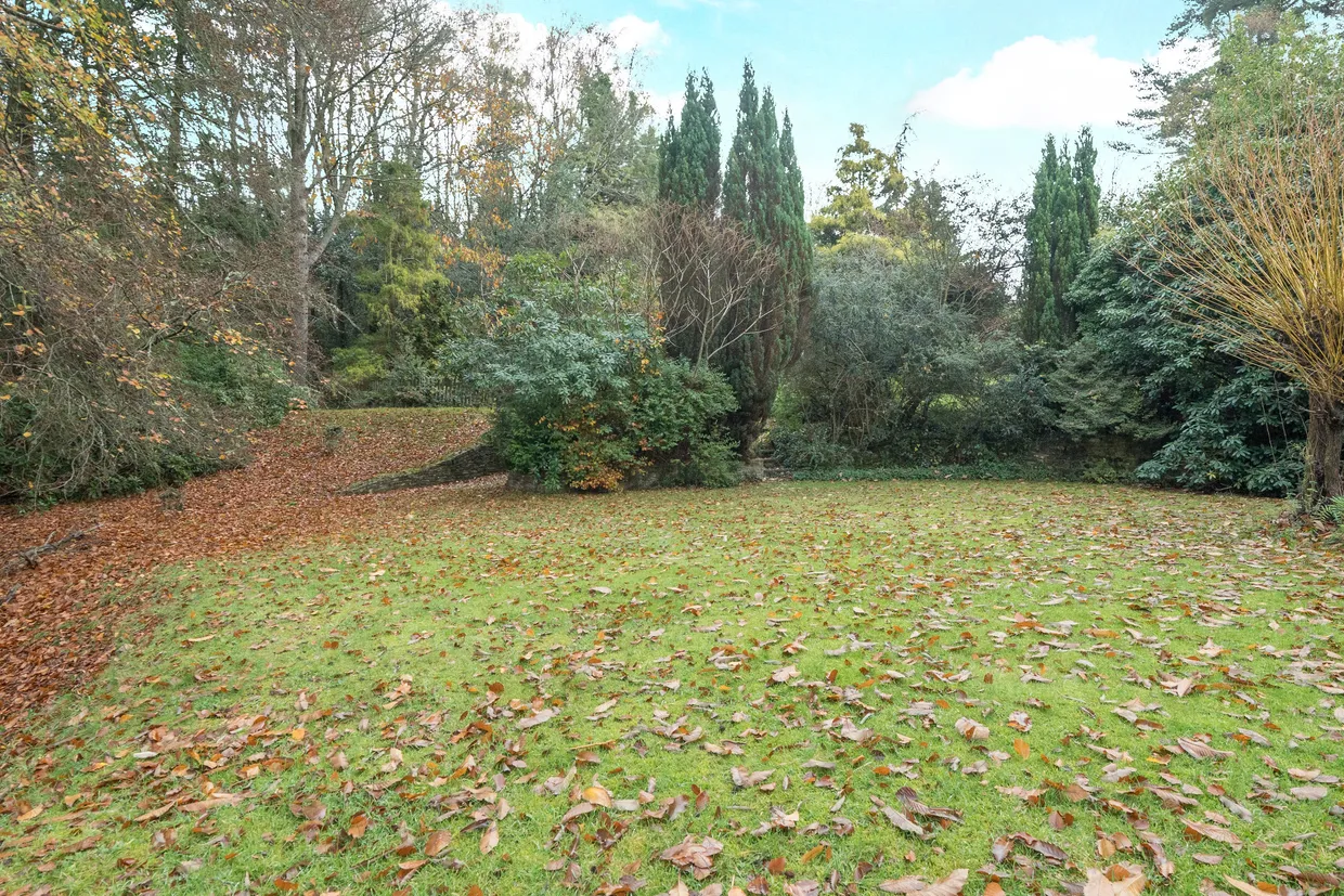 Farnham Lane, Haslemere, GU27 photo 12