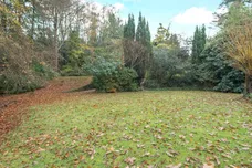 Farnham Lane, Haslemere, GU27 photo 12