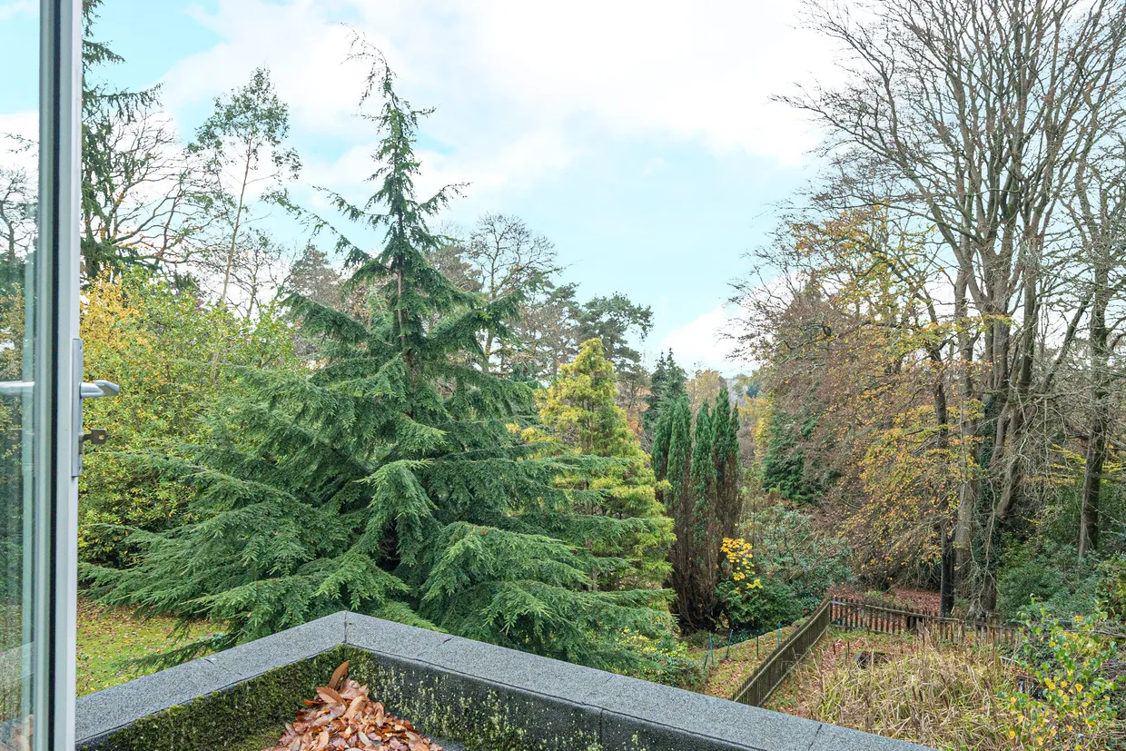 Farnham Lane, Haslemere, GU27 photo 15