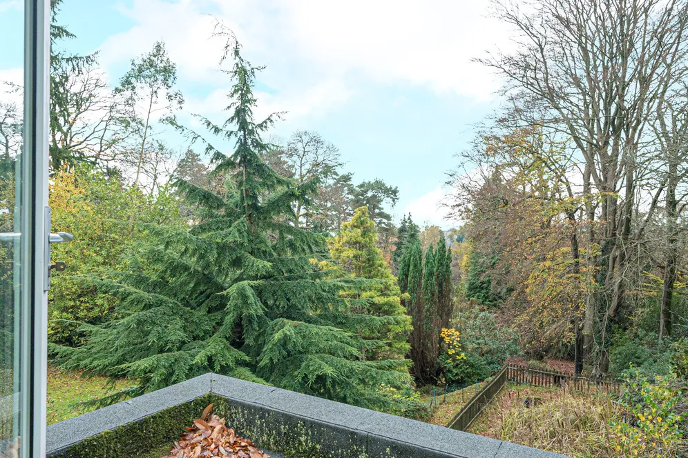 Farnham Lane, Haslemere, GU27 photo 15