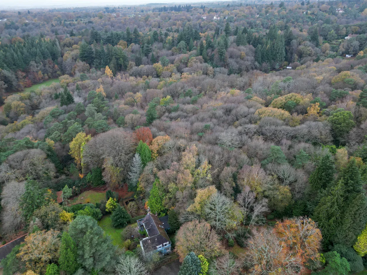 Farnham Lane, Haslemere, GU27 photo 16