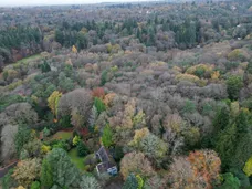 Farnham Lane, Haslemere, GU27 photo 16