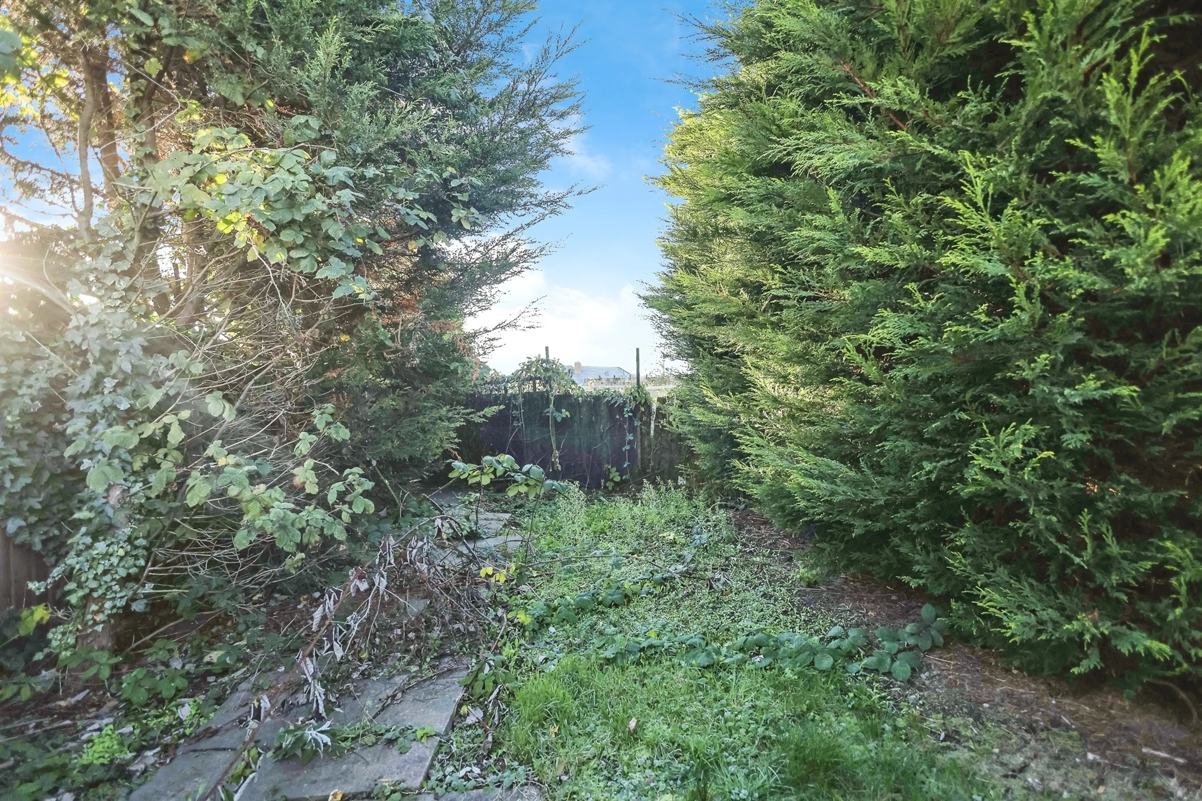 Property photo 15