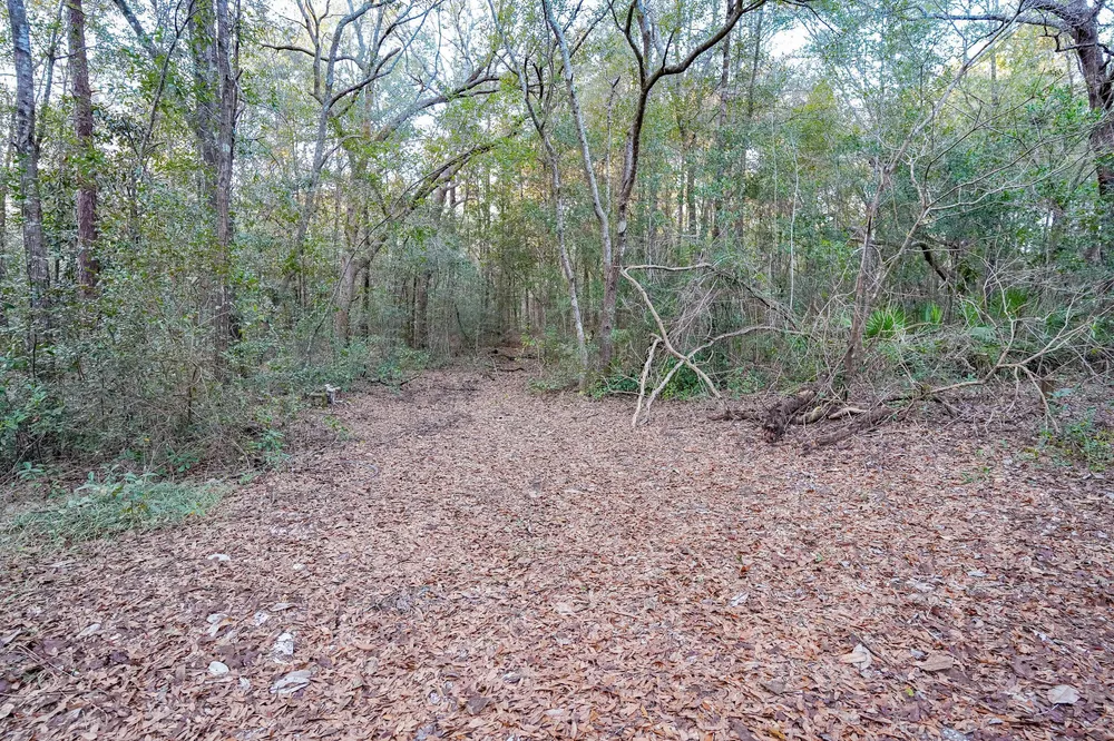 4444 Sundance Way, Holt, FL 32564