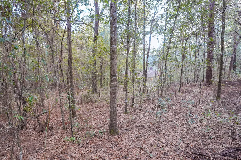 4444 Sundance Way, Holt, FL 32564