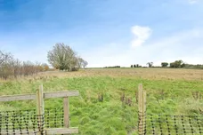 Walnut Walk, Marham