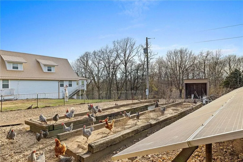 660 Pendergraft Rd, Noel, MO 64854